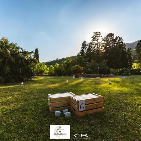 Il Frantoio Di Colle Alberto Montale (Tuscany)