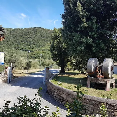 Il Frantoio Di Colle Alberto Alloggio per agriturismo Montale (Tuscany)